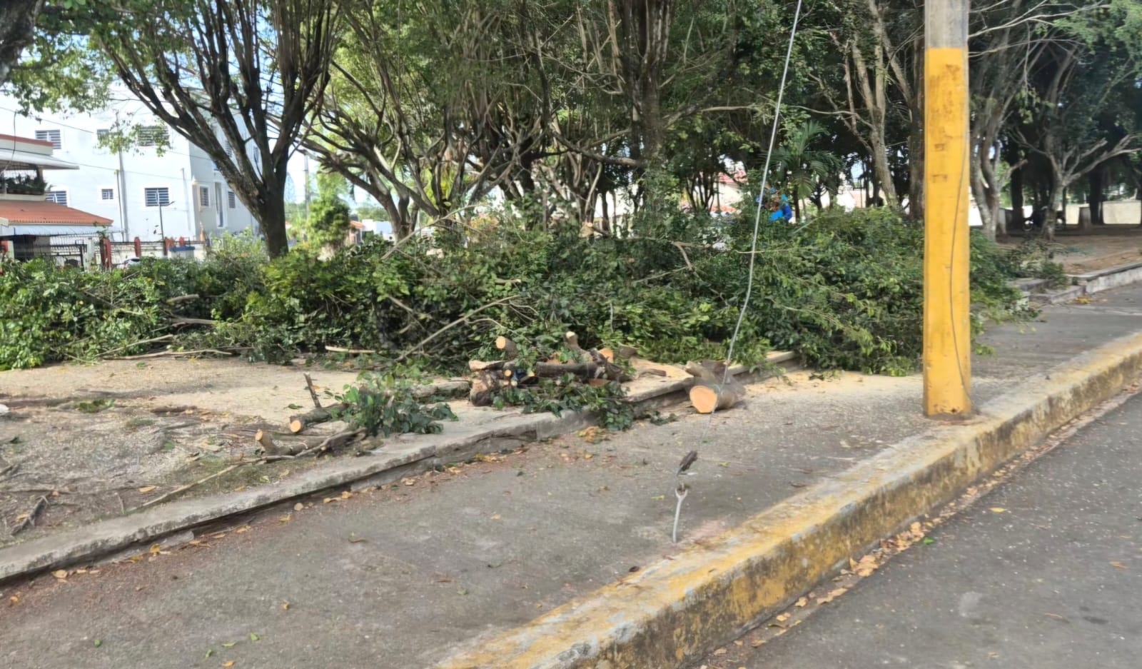 Carta de categoria